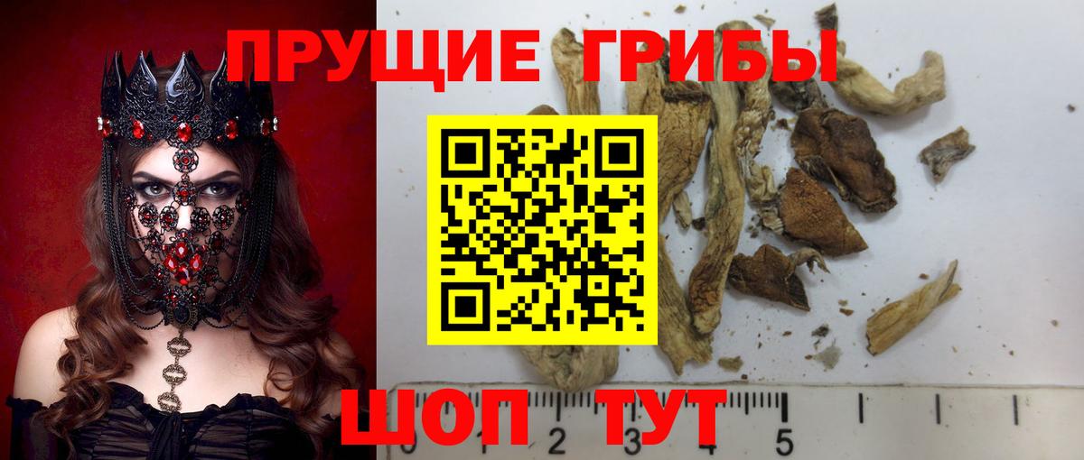 Псилоцибиновые грибы ЛСД Отрадный